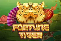Fortune Tiger