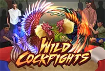 Wild Cockfights