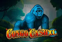 Congo Cash XL