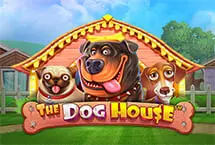 The Dog House
