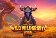 Wild Wildebeest Wins